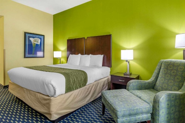 Comfort Inn Athens image 14